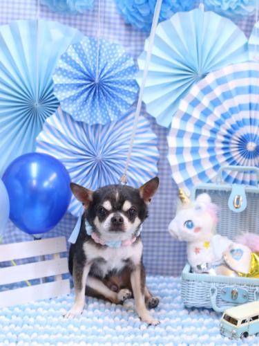 20231102ボーくん